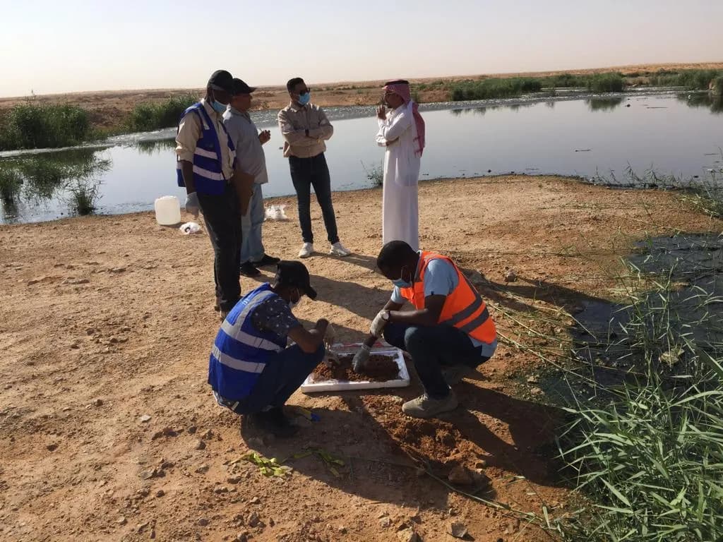 تقديم الاستشارات البيئية