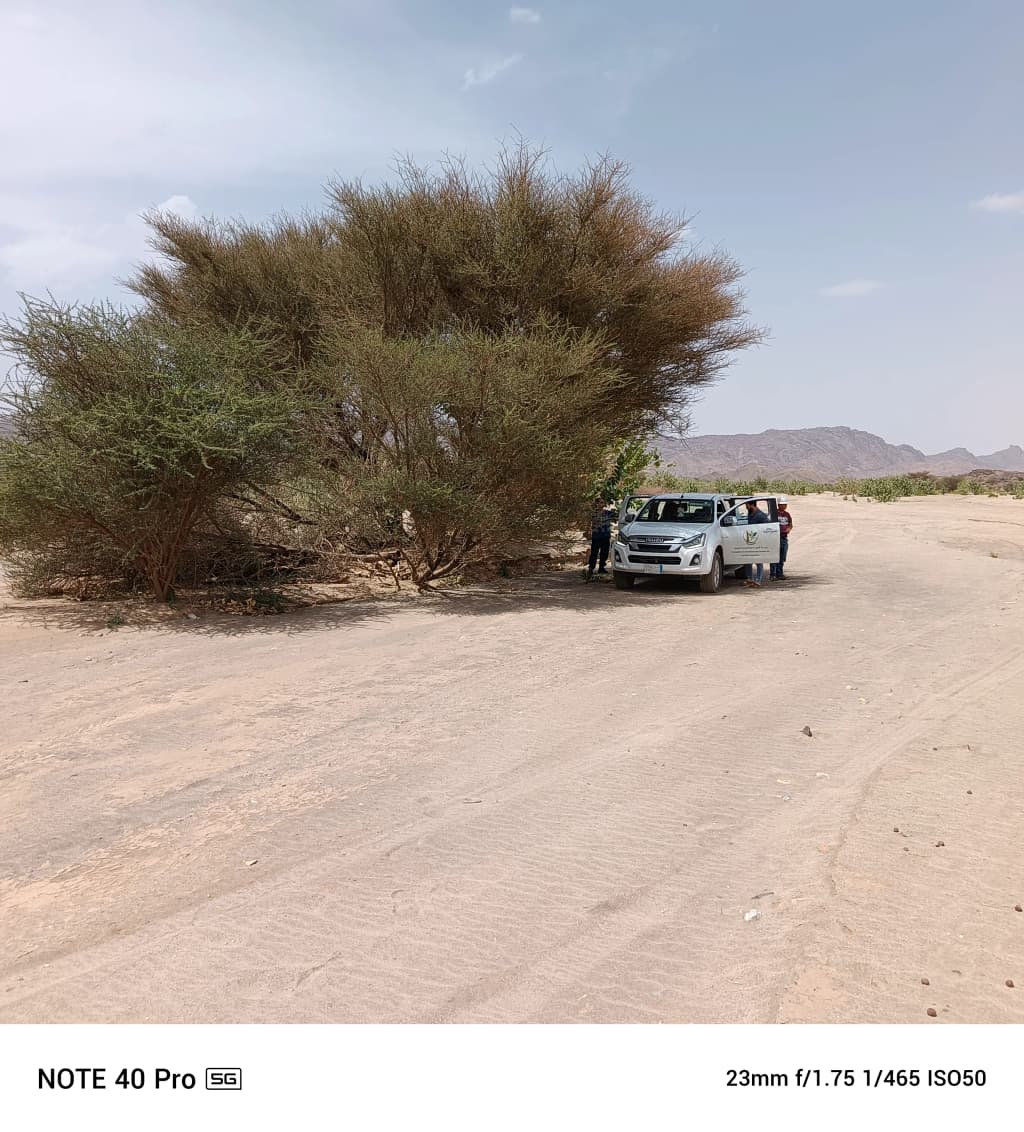 إعداد وتقديم دراسات تقييم وتدقيق الأثر البيئي للفئة الثانية والثالثة